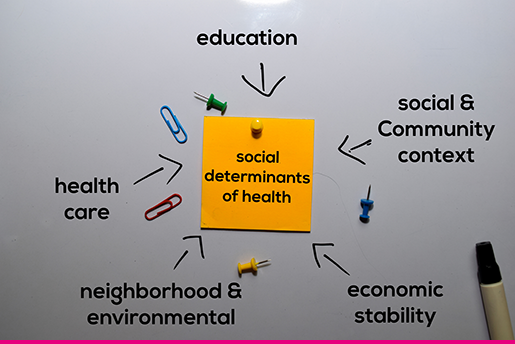 Chart of health determinants